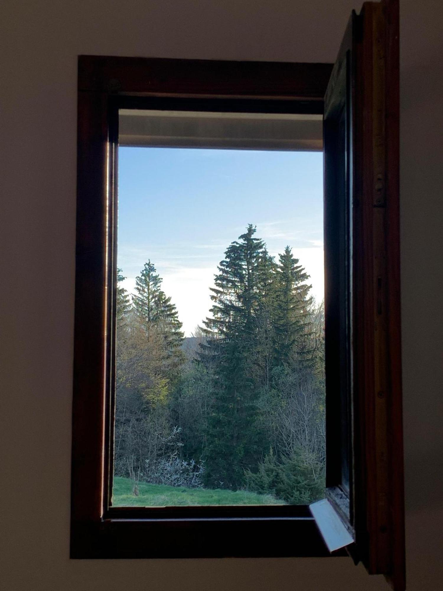 Chaleureux Appartement Avec Balcon Au Coeur Des Rousses Les Rousses Buitenkant foto